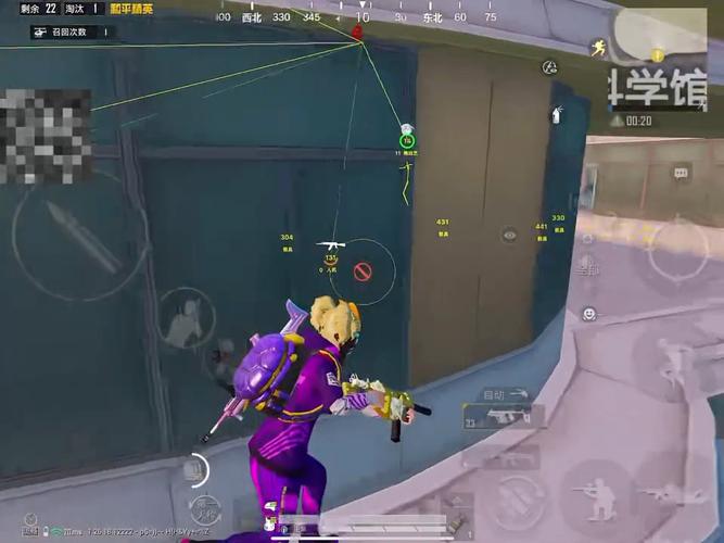 和平精英「雪花」直装辅助